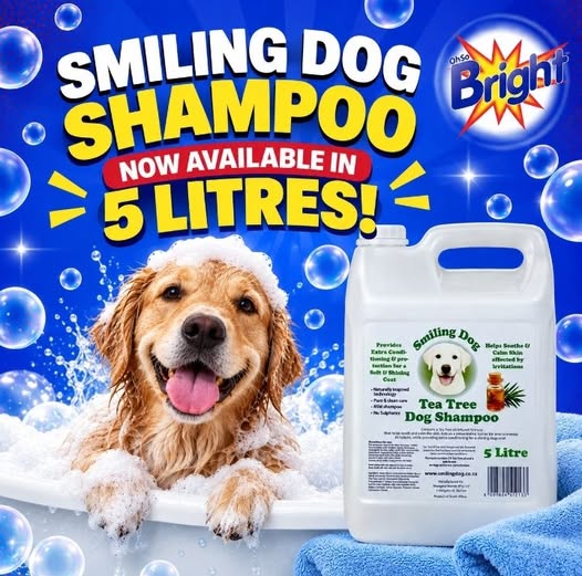 Smiling Dog Tea Tree Shampoo!